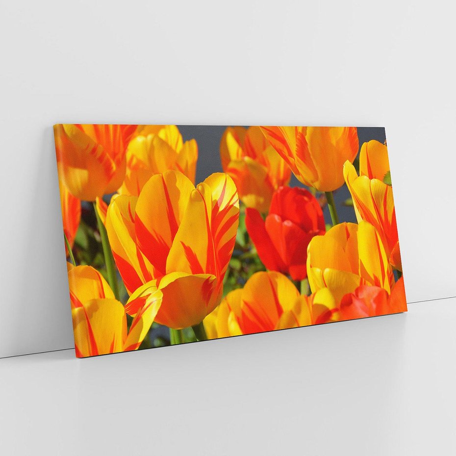 Obraz na płótnie 120x60 - Kwiatowa Harmonia - kwiaty, kwiat