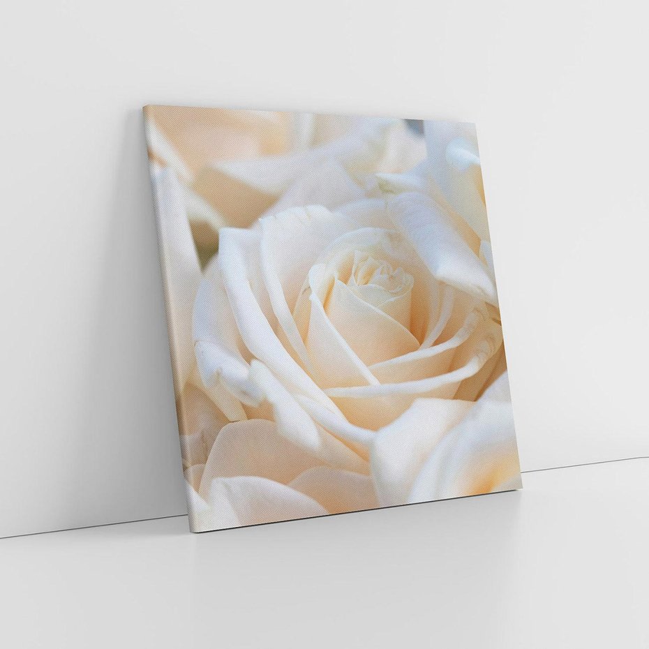 Obraz na płótnie 30x30 - Białe róże piękności - białe, róże