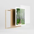 Plakat w ramie 30x40 - Bajkowy las pełen brzóz - las, brzozy - rama drewno