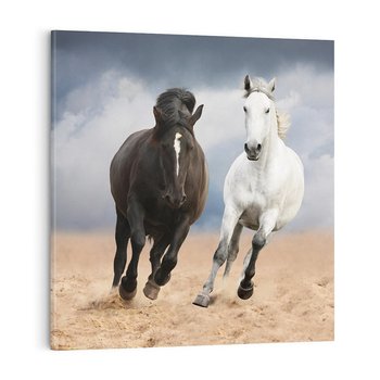 Obraz na płótnie 40x40 - Siła koni w galopie - konie, galop