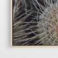 Obraz w ramie 50x50 - Ulotna Piękność Natury - makro, dmuchawce - rama drewno