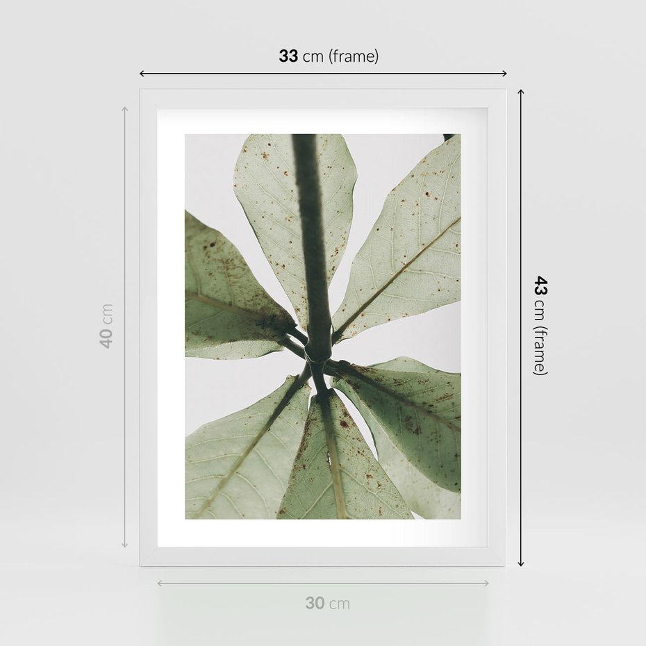 Plakat w ramie 30x40 - Jasna Zieleń w Makro - makro zdjęcie liści, jasna zieleń - rama biała