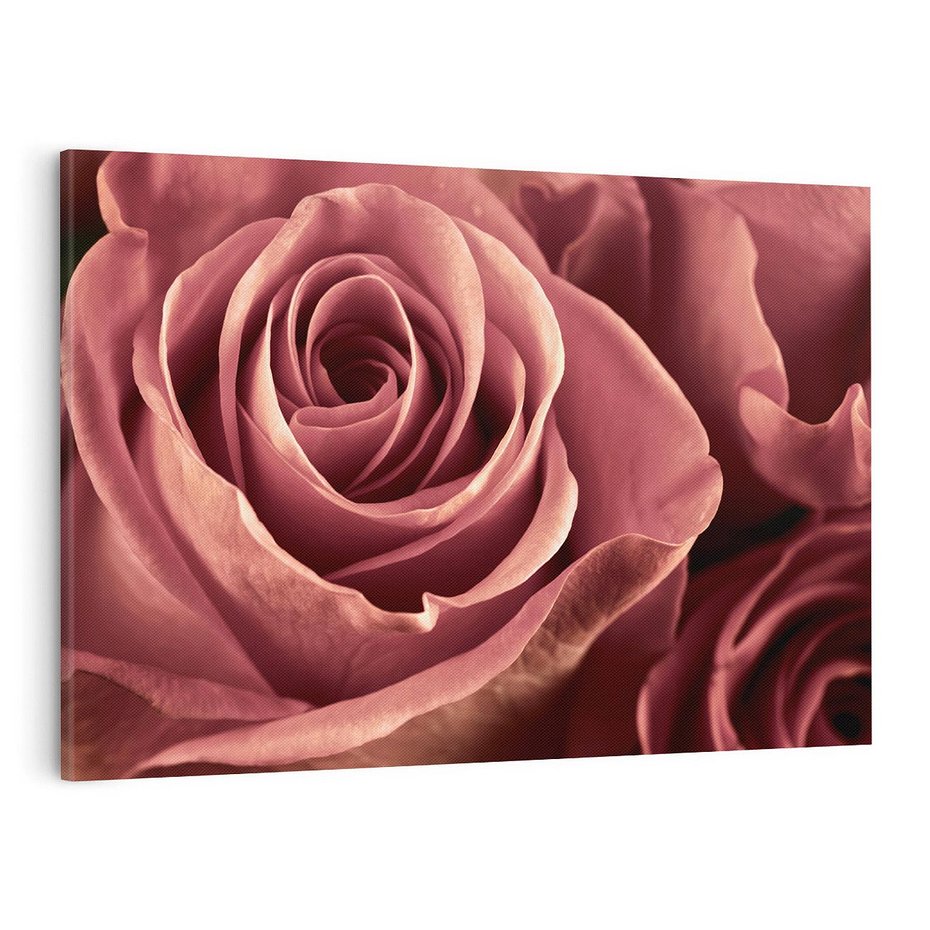 Obraz na płótnie 100x70 - Romantyczna Róż - róża, kwiat