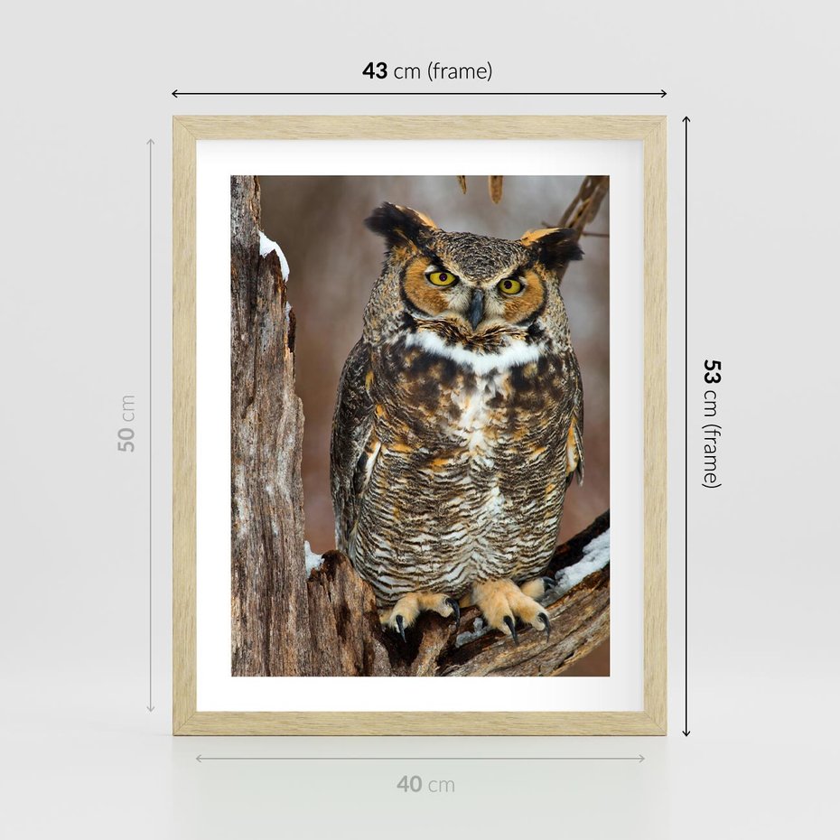 Plakat w ramie 40x50 - Tajemniczy Stróż - sowa, las - rama drewno