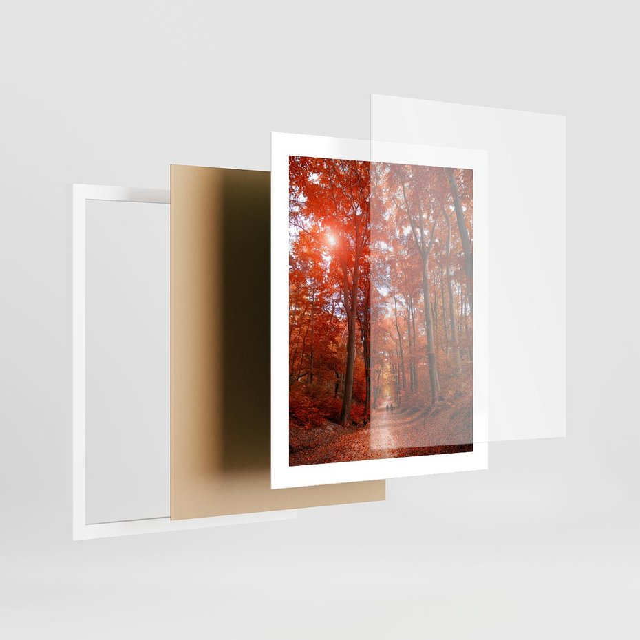 Plakat w ramie 40x50 - Magia jesiennego lasu - las, jesień - rama biała