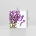 Obraz na płótnie 50x50 - Pola lawendy w pełnym rozkwicie - lawenda, kwiaty
