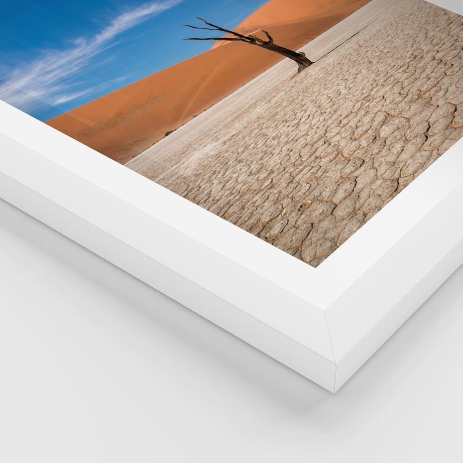 Plakat w ramie 40x50 - Słońce i Suche Drzewo - pustynia, suche - rama biała