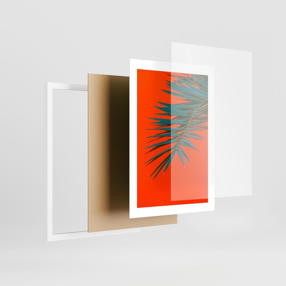 Plakat w ramie 30x40 - Egzotyczny Urok - liście, palma - rama biała