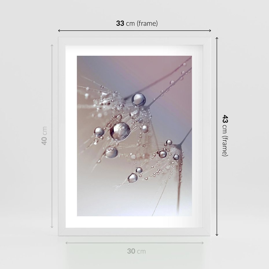 Plakat w ramie 30x40 - Delikatne Natchnienie - krople, dmuchawce - rama biała
