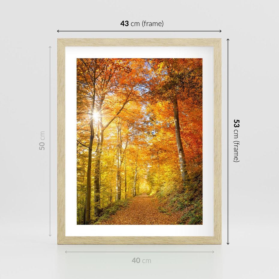 Plakat w ramie 40x50 - Złote barwy jesiennego lasu - las, jesień - rama drewno