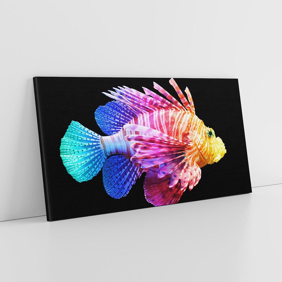 Obraz na płótnie 120x60 - Tęczowa Piękność - kolorowa tęczowa ryba, mocny akcent na czarnym tle