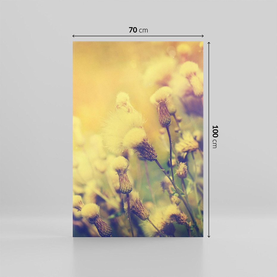 Obraz na płótnie 70x100 - Natura w pełnym rozkwicie - łąka, natura