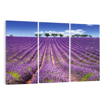 Obraz na płótnie 120x80 - pola wonnych kwiatów - lawenda, kwiaty