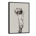 Obraz w ramie 50x70 - Cień Kwiatowej Delikatności - kwiat, cień - rama czarna
