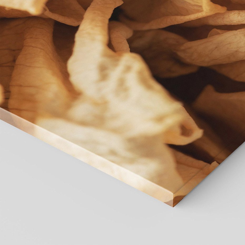 Obraz na płótnie 120x80 - Zjawiskowe zasuszone kwiaty - zasuszone, kwiaty