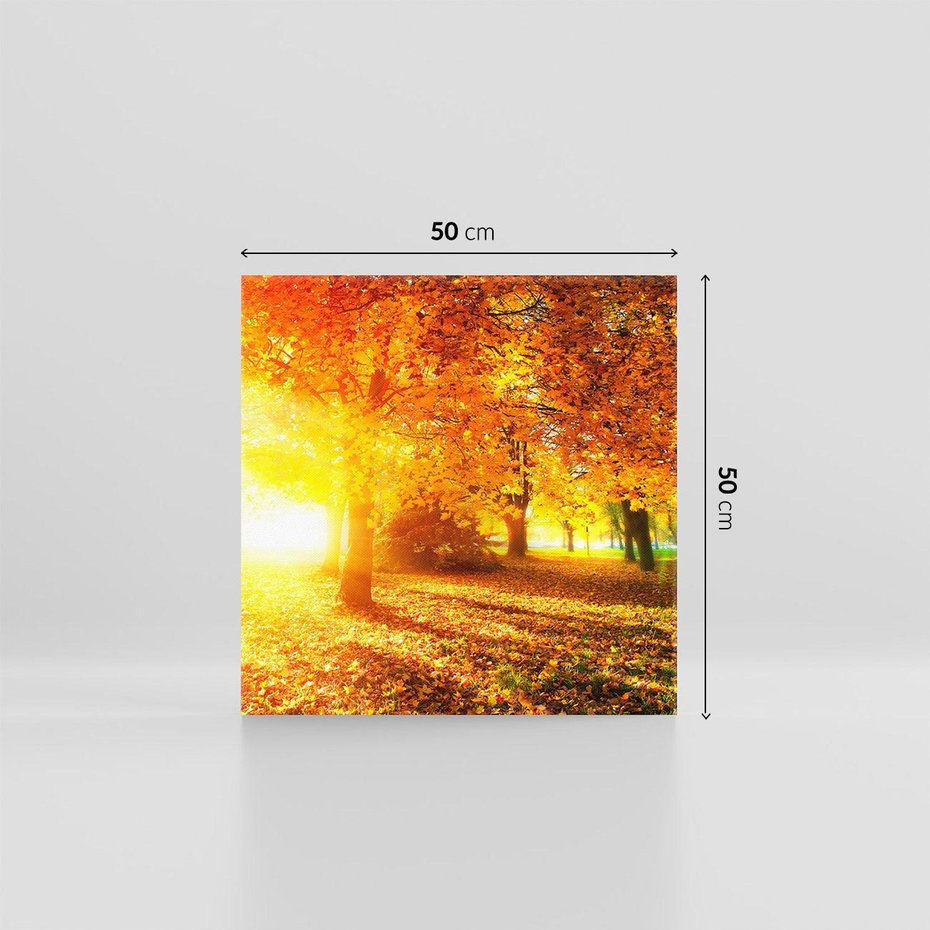 Obraz na płótnie 50x50 - Magia jesiennego lasu - las, drzewa