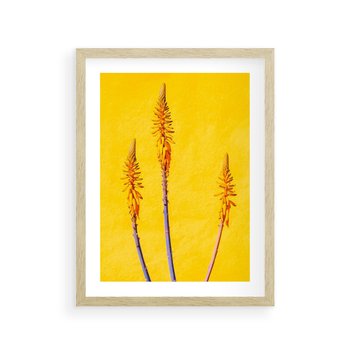 Plakat w ramie 30x40 - Radość Natury - kolor, kwiaty - rama drewno