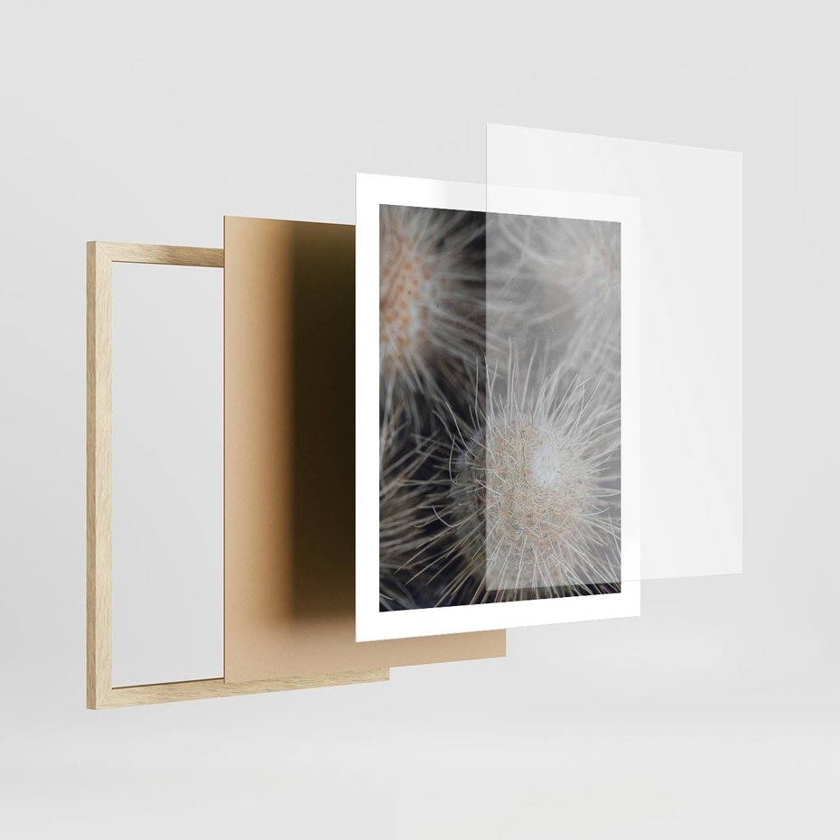 Plakat w ramie 40x50 - Ulotna Piękność Natury - makro, dmuchawce - rama drewno