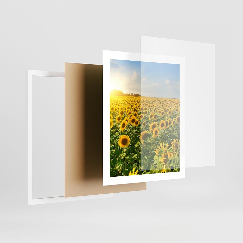 Plakat w ramie 40x50 - Idylla na łące słoneczników - łąka, słoneczniki - rama biała