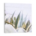 Obraz na płótnie 40x40 - Sukulentowe liście - liście, sukulenty