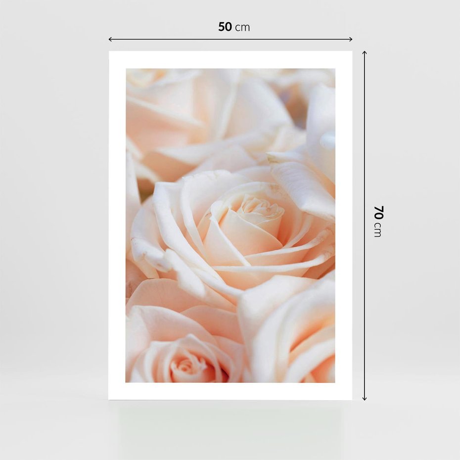 Plakat bez ramy 50x70 - Aromatyczna Piękność - płatki herbacianej róży, kwiaty