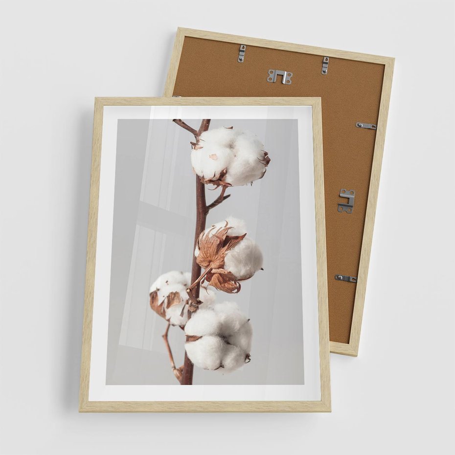 Plakat w ramie 50x70 - Spokojna Gałązka Bawełny - gałązka bawełny, prosta spokojna fotografia - rama drewno