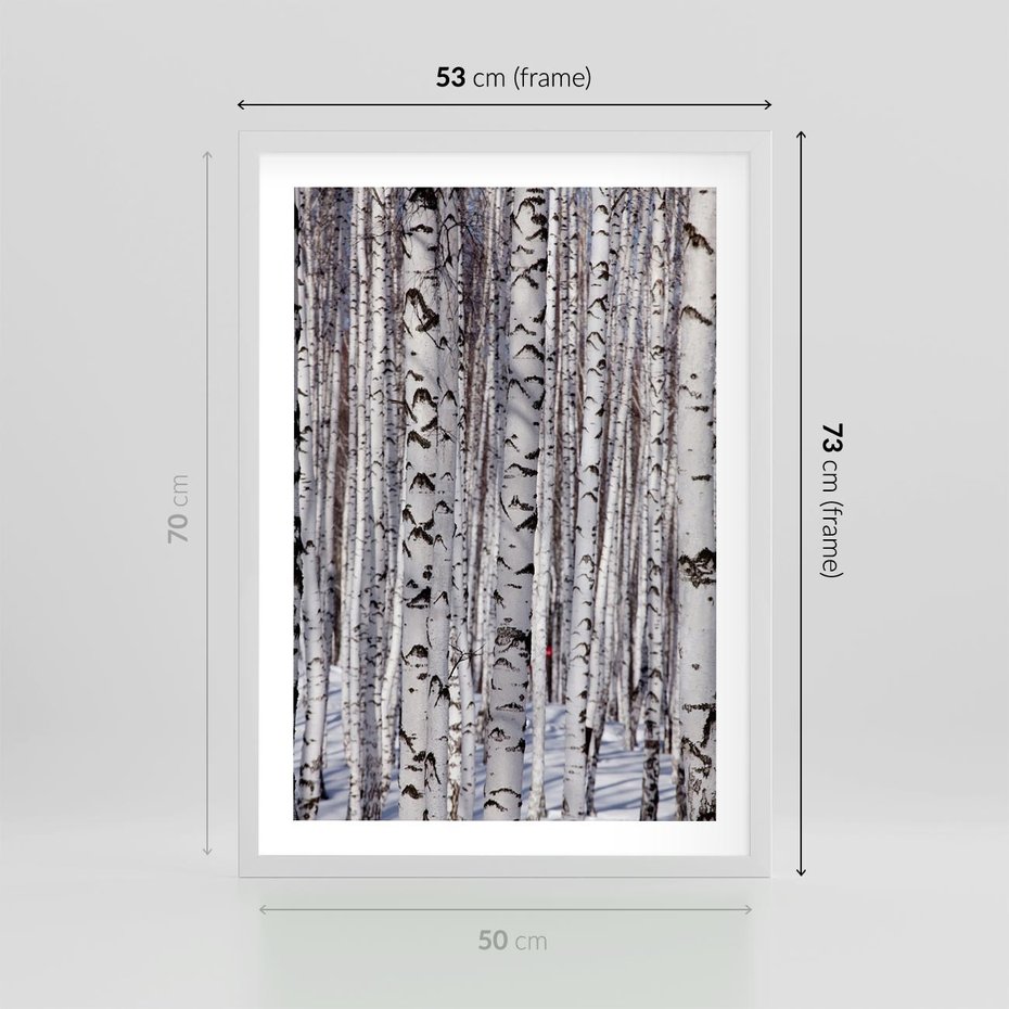 Plakat w ramie 50x70 - Lśniące Brzozy - brzozy, las - rama biała