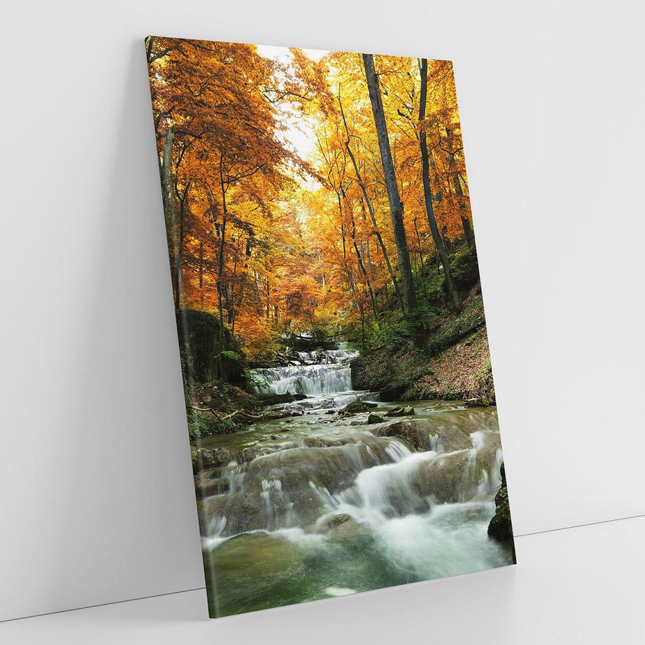 Obraz na płótnie 80x120 - Urok lasu: drzewa i strumyk w harmonii - las, drzewa