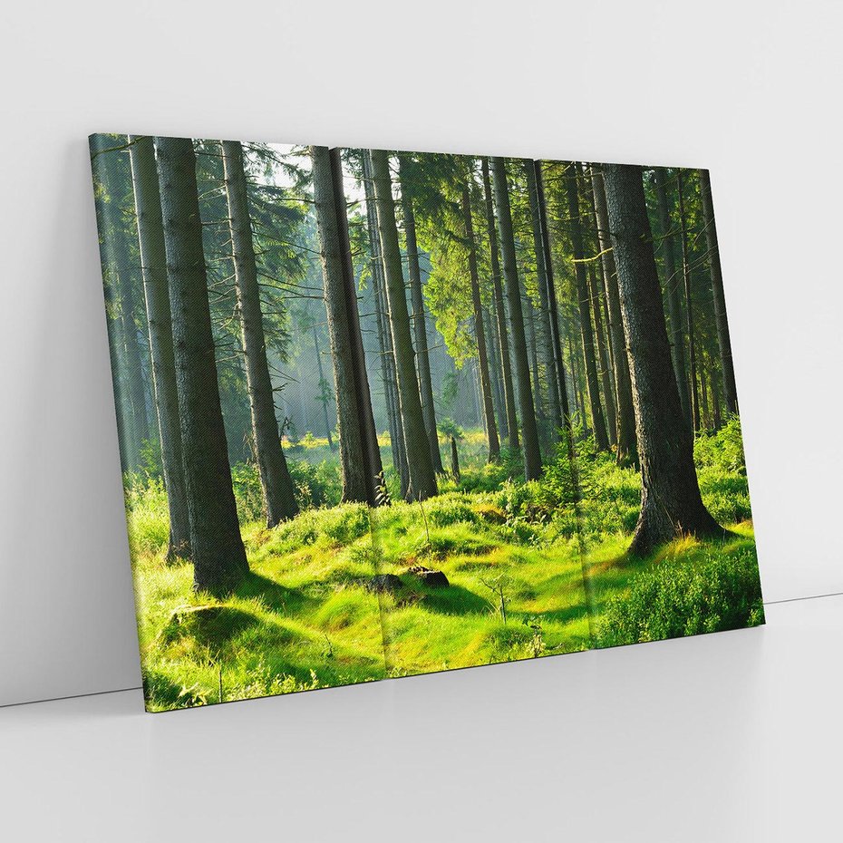 Obraz na płótnie 120x80 - Idylliczny las - las, drzewa