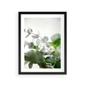 Plakat w ramie 30x40 - Zielony Świat Eukaliptusa - eukaliptus, fotografia - rama czarna