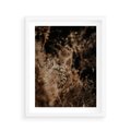 Plakat w ramie 40x50 - Delikatne Detale - paprocie, brąz - rama biała