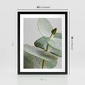 Plakat w ramie 40x50 - Eukaliptusowa zieleń - eukaliptus, zielone - rama czarna