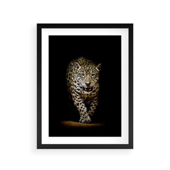 Plakat w ramie 50x70 - Elegancja lamparta - lampart, pantera - rama czarna