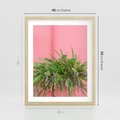 Plakat w ramie 40x50 - Fotografia Rośliny z Różowym Tłem - fotografia, zielona roślina na tle różwj ściany - rama drewno