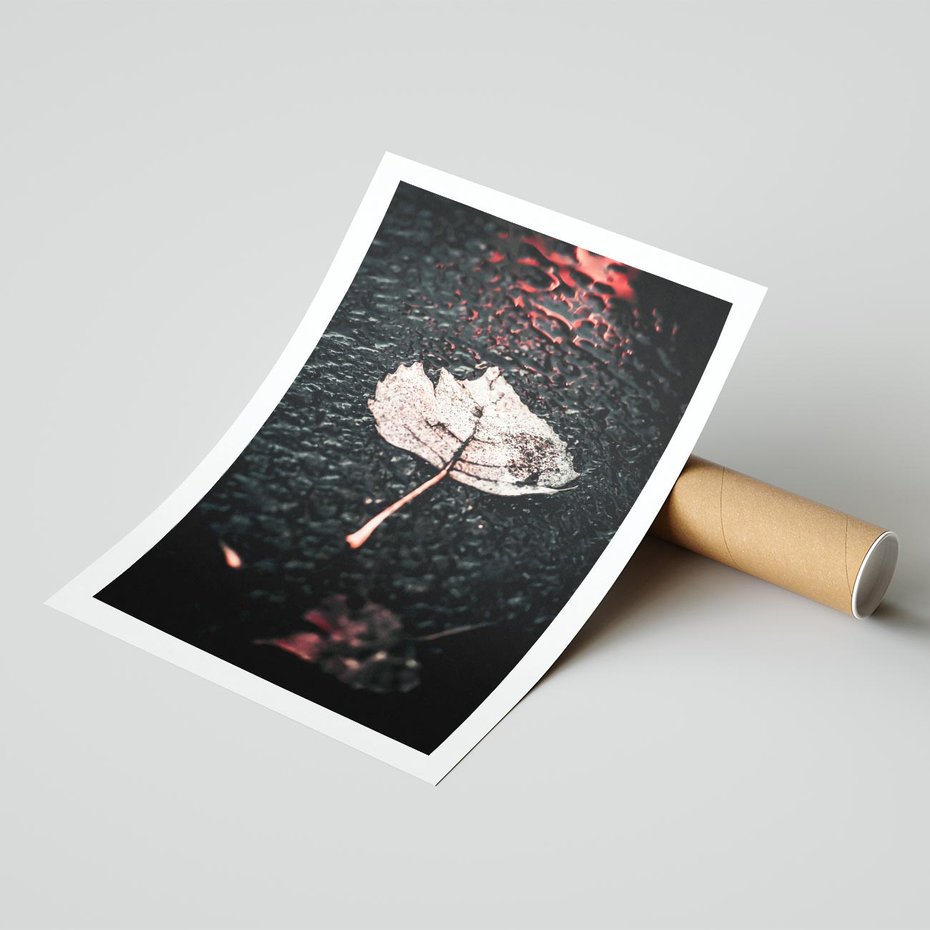 Plakat bez ramy 50x70 - Jesień w Detalu: Liść na Mokrej Drodze - liść, jesień