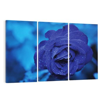 Obraz na płótnie 120x80 - Róża w pełnym rozkwicie - róża, kwiat