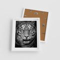 Plakat w ramie 40x50 - Tygrys Czarno-Biały: Siła i Delikatność - tygrys, czarno - rama biała