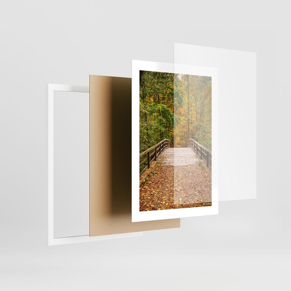 Plakat w ramie 30x40 - Spacer Ścieżką w Las - ścieżka, spacer - rama biała