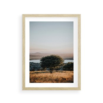 Plakat w ramie 50x70 - Siła Natury - drzewo, pejzaż - rama drewno