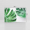 Obraz na płótnie 120x80 - Monstera - Liście Kwiaty - monstera, liście