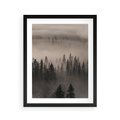 Plakat w ramie 40x50 - Mglista Opowieść Lasu - las, mgła - rama czarna