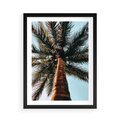 Plakat w ramie 50x70 - Rajskie Inspiracje: Palma na Niebie - palma, na tle nieba - rama czarna