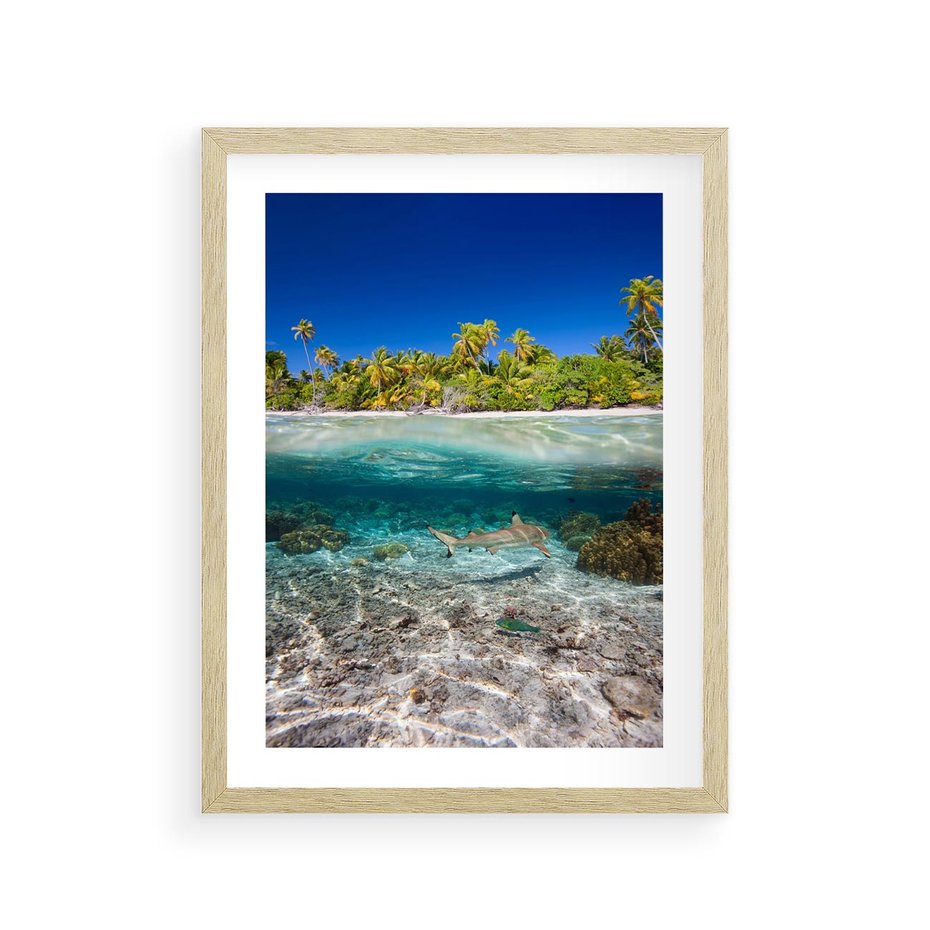 Plakat w ramie 30x40 - Tropikalne Morze i Kolorowa Rafa - tropikalne, morze - rama drewno