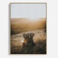 Obraz w ramie 50x70 - Podróżniczy bukiet na łące - plecak, podróż - rama drewno