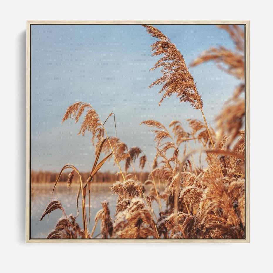 Obraz w ramie 80x80 - Wyraz Stylu - trawy, boho - rama drewno