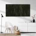 Obraz na płótnie 120x60 - Ciemny las iglasty - las, iglasty