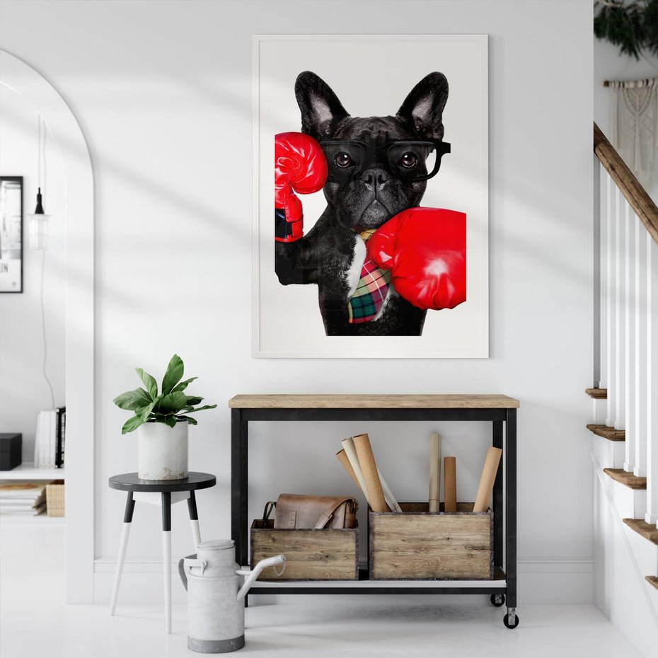 Plakat bez ramy 30x40 - Boksujący mops - pies - boks, mops