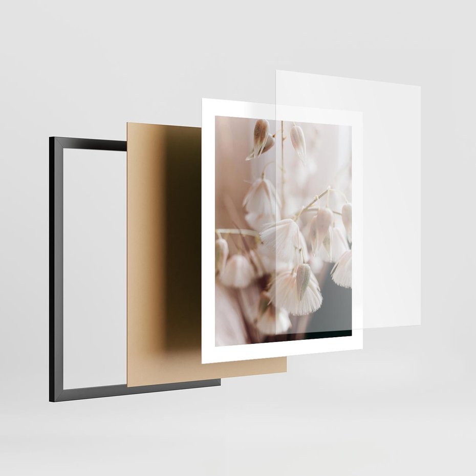 Plakat w ramie 40x50 - Suszona Delikatność - suszone kwiaty, rośliny - rama czarna
