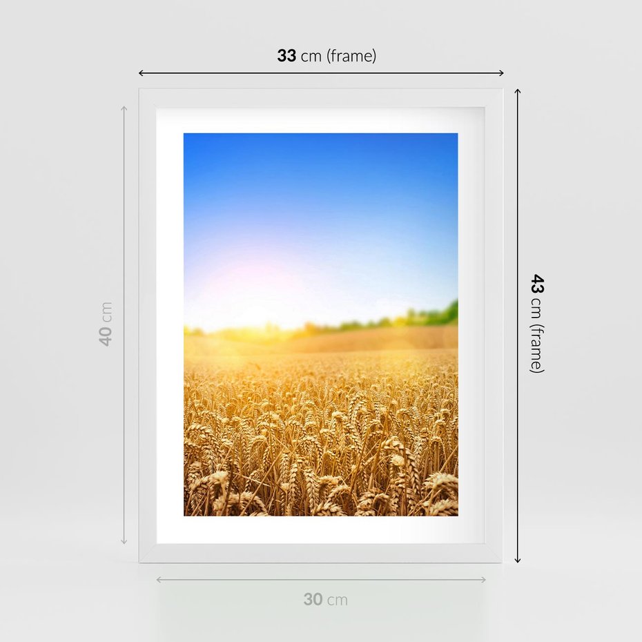 Plakat w ramie 30x40 - Żyzne Pola - pole, pszenicy - rama biała