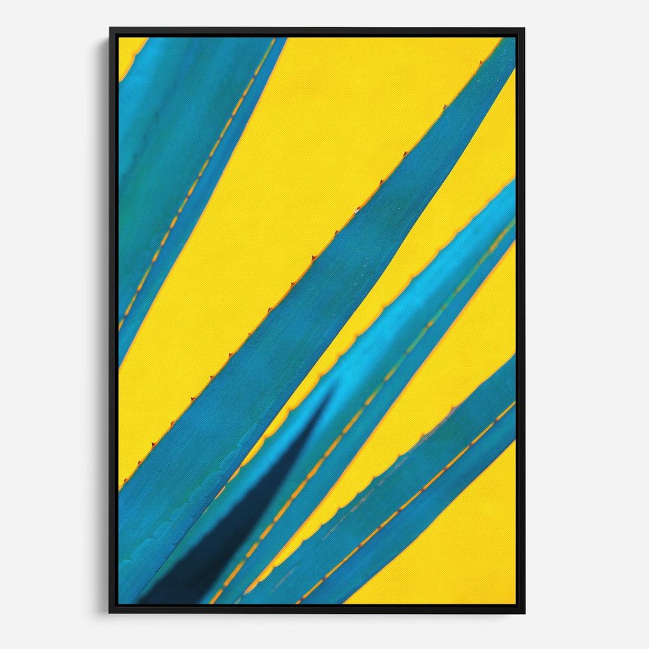 Obraz w ramie 70x100 - Świeżość Natury - aloes, liście - rama czarna